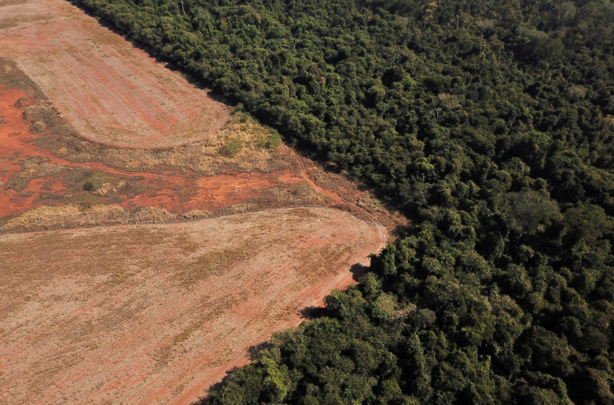 a-destruição-do-cerrado-e-o-perigo-para-o-abastecimento-de-água-no-brasil