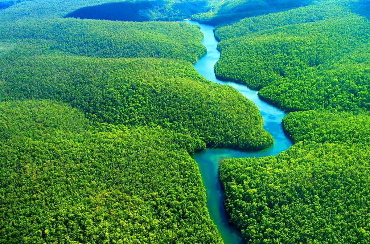 amazonia-no-centro-dos-planos-da-agenda-2030-da-onu