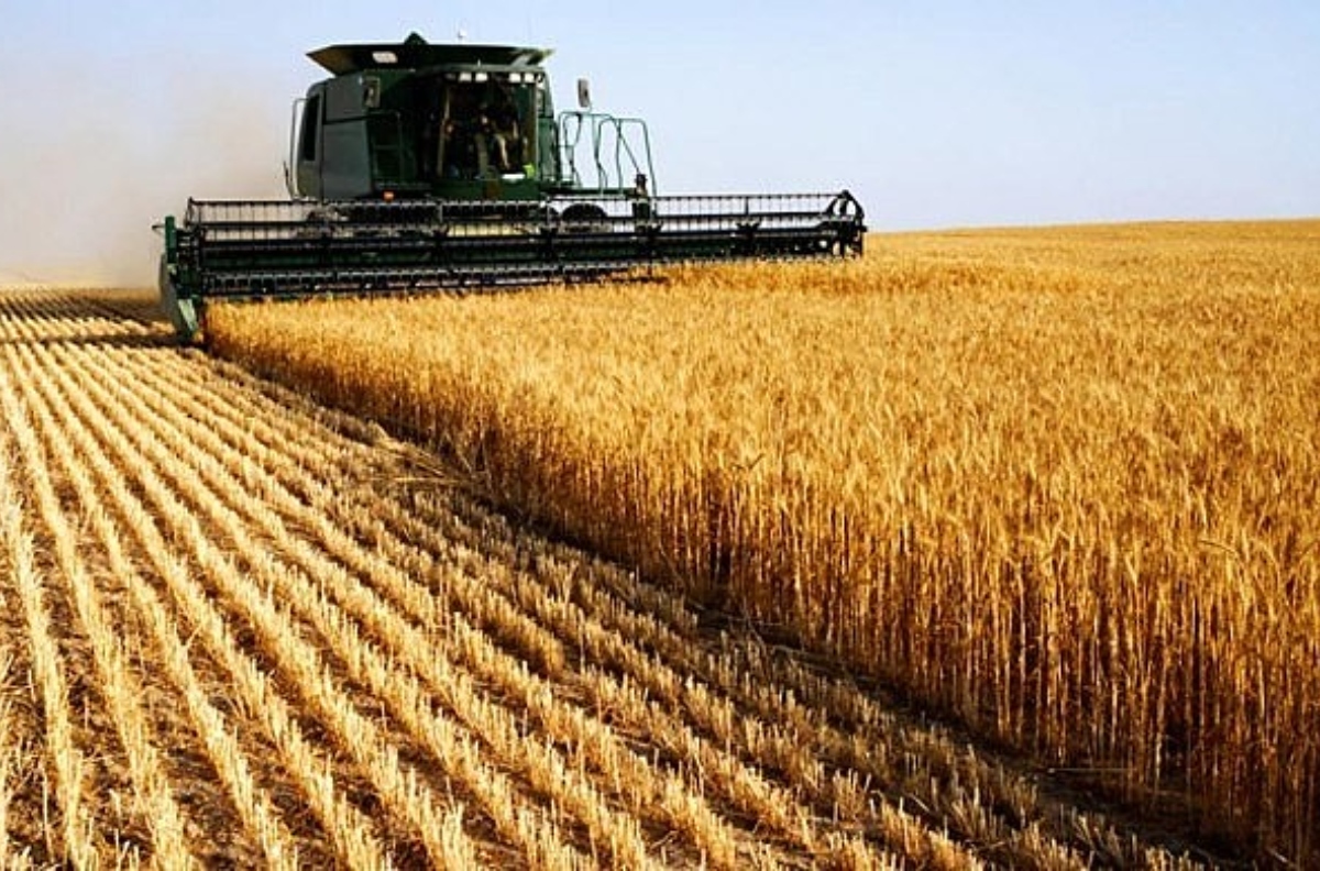 exportacoes-agricolas-brasil-se-destaca-ainda-mais-no-cenario-global