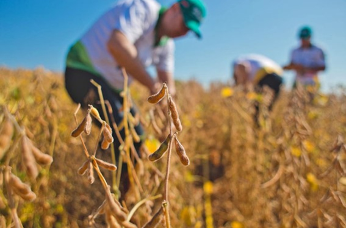 apesar-do-el-niño-expectativas-são-de-recordes-na-produção-agrícola