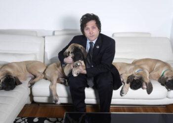 eleições-argentinas-com-cães-clonados-de-milei-em-evidência