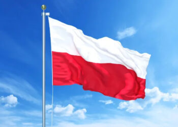 lider-oposicionista-polones-exige-decisao-agil-para-proximo-governo