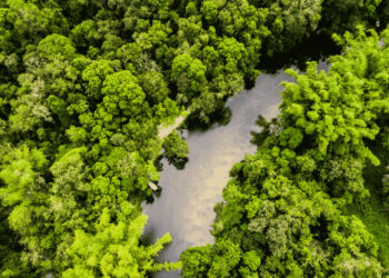 mundo-perto-de-inflexoes-ambientais-alerta-onu