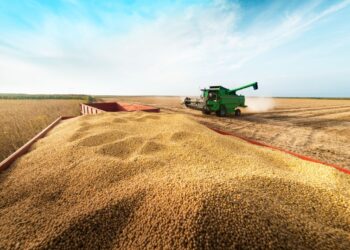 plantio-de-soja-2324-perde-ritmo-e-cobre-40-do-brasil-diz-agrural