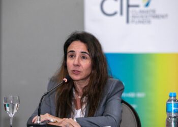 brasil-planeja-imposto-de-15-sobre-lucro-de-multinacionais-diz-secretária-de-haddad