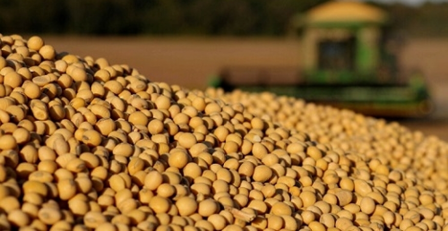 china-aumenta-importacoes-de-soja-do-brasil-em-71-em-outubro-confira