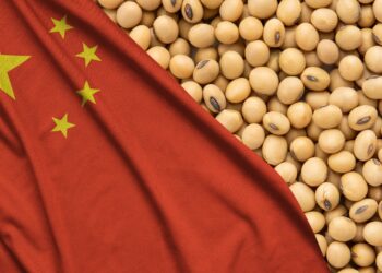 china-faz-grandes-compras-de-soja-dos-eua-confira-sobre