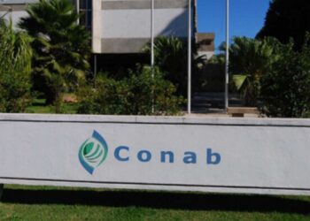 conab-safra-2324-de-soja-do-brasil-tem-previsão-elevada-com-ajustes-na-área