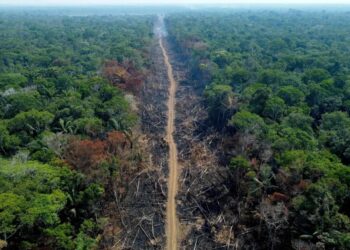 desmatamento-na-amazônia-cai-223-em-1-ano-até-julho
