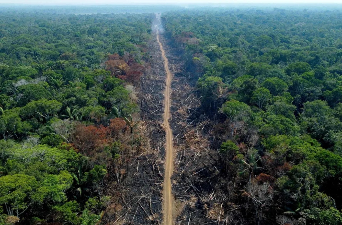 desmatamento-na-amazônia-cai-223-em-1-ano-até-julho