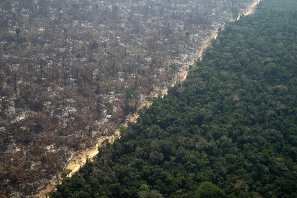 destruicao-da-amazonia-desacelera-em-2023-indica-relatorio-confira