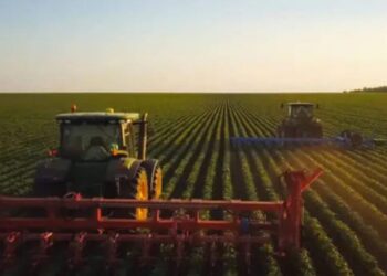 slc-avança-com-plantio-de-soja-precoce-e-avalia-arrendamentos-para-algodão