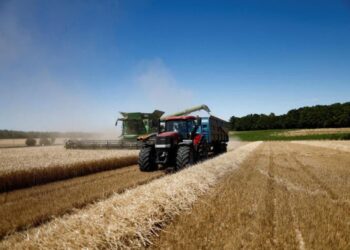 stonex-prevê-queda-de-8-na-safra-de-milho-br-2324-aumento-na-projeção-de-soja