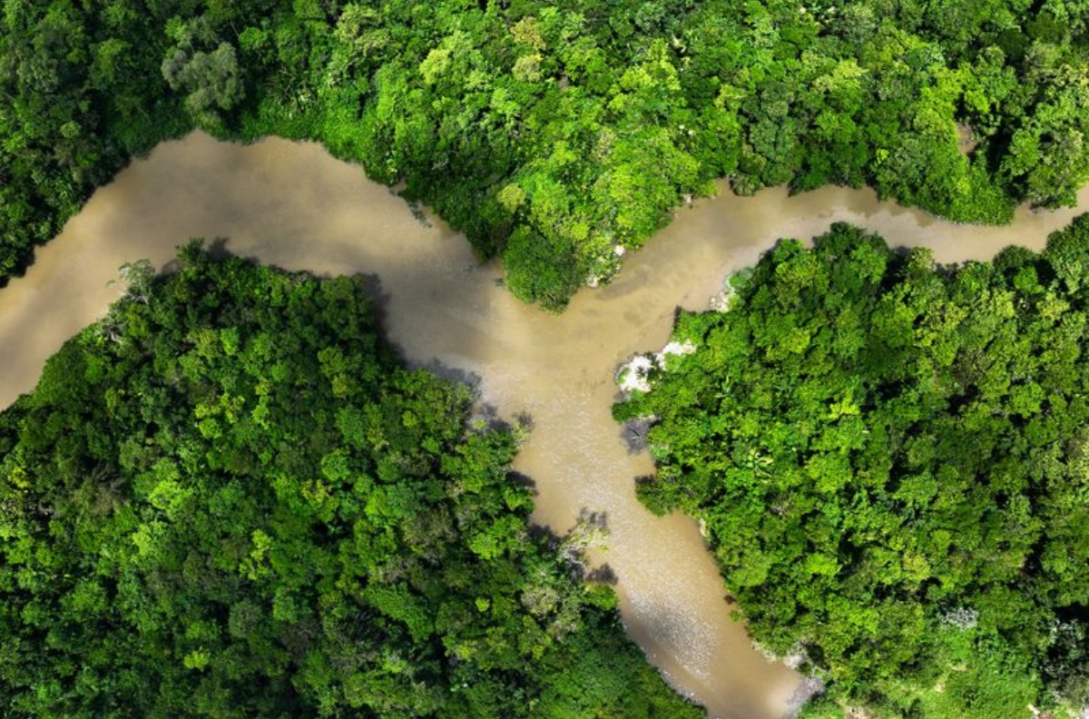 brasil-cria-fundo-mundial-de-conservação-de-florestas-para-captar-us-250-bilhões