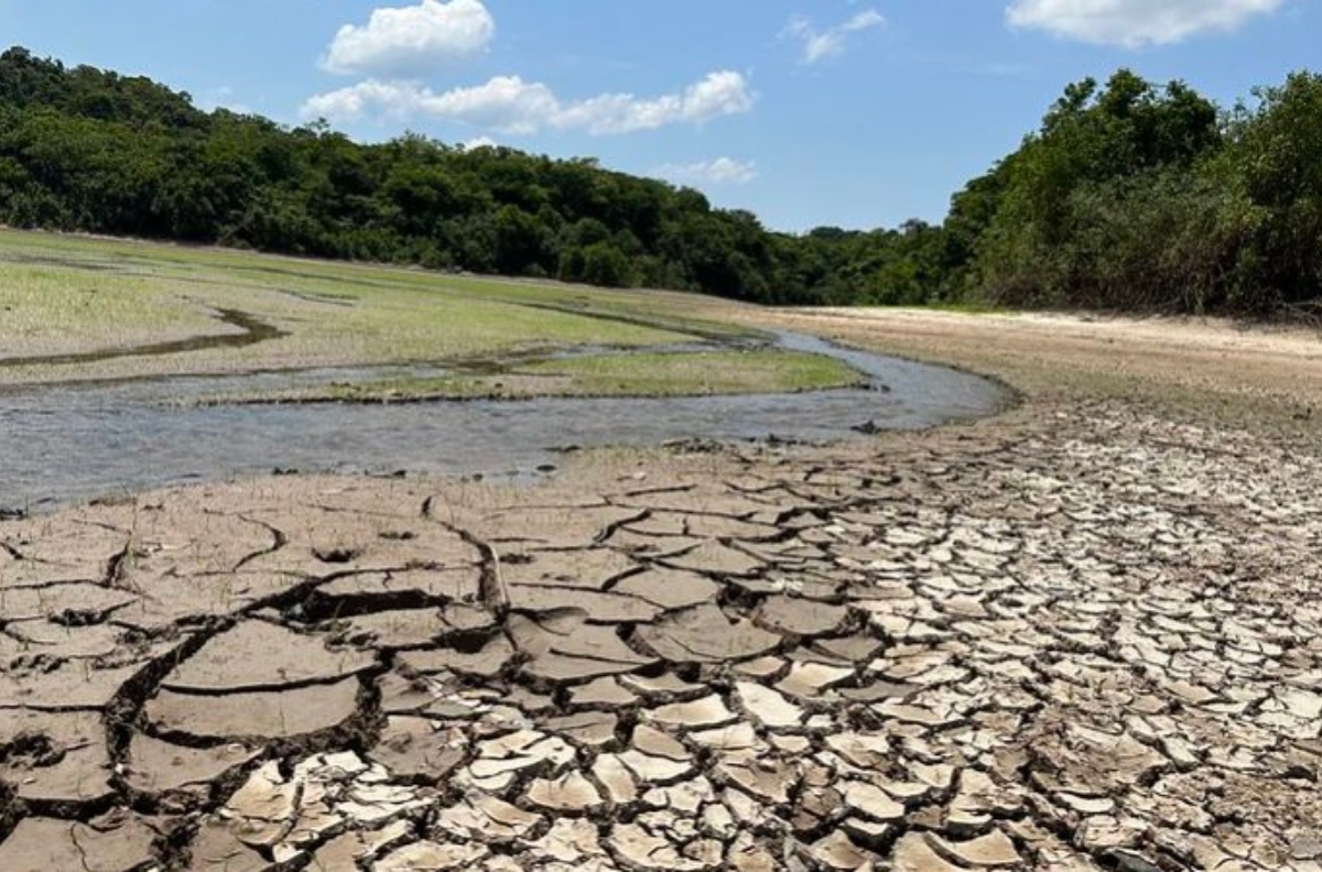 Seca na Amazônia agravada por mudanças climáticas pode ter impacto até 2026