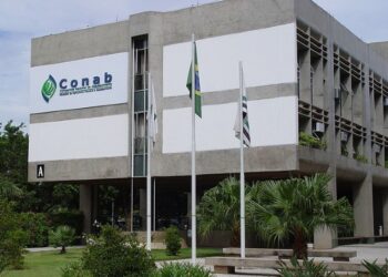 Conab revisa para baixo projeção da safra 2023/24: desafios e perspectivas para a agricultura brasileira.